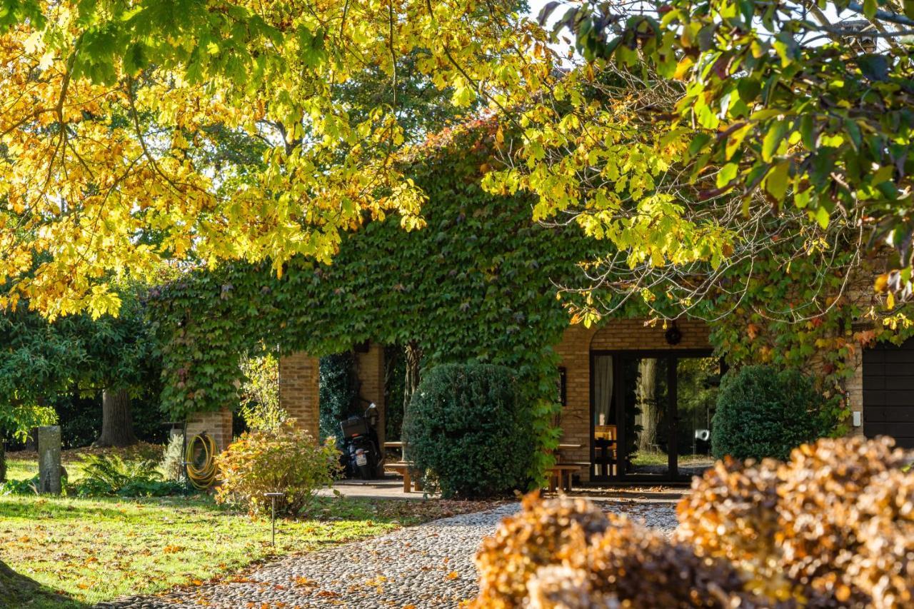 Casa Dorina Villa Padova Dış mekan fotoğraf