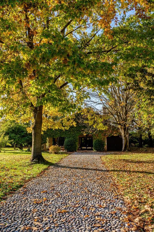 Casa Dorina Villa Padova Dış mekan fotoğraf